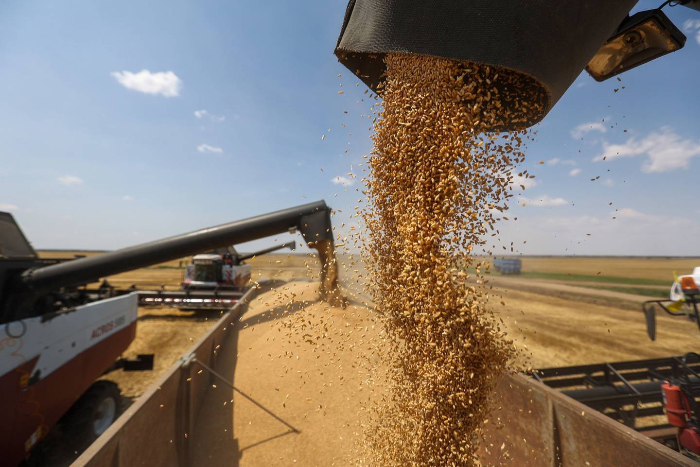 Rusia ha seguido enviando su trigo al precio ahora más alto. Fotógrafo: Andrey Rudakov/Bloomberg