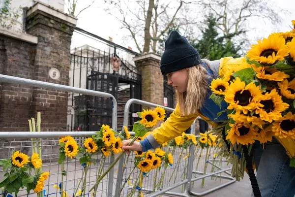 Manifestante coloca girassóis do lado de fora da Embaixada da Rússia em Londres