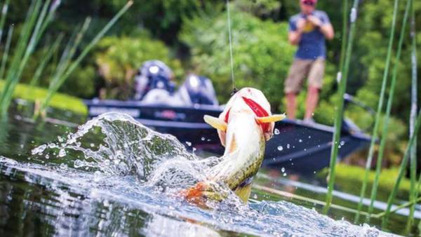El potencial poco explorado de Honduras para ser destino mundial de la pesca deportivadfd