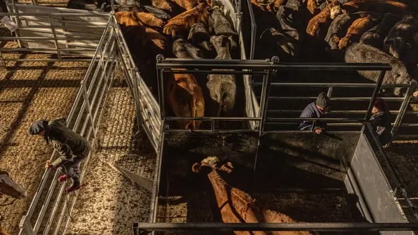 Desaparición de barbacoas muestra que la demanda mundial de carne de vacuno está bajo presióndfd
