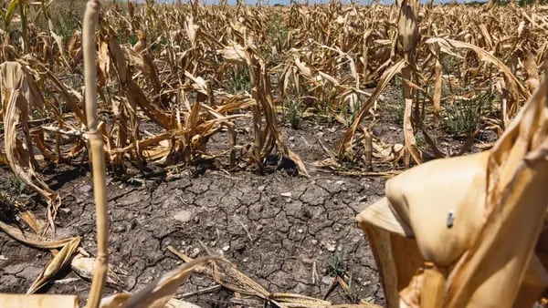 Desastres climáticos na América Latina ameaçam segurança alimentar globaldfd