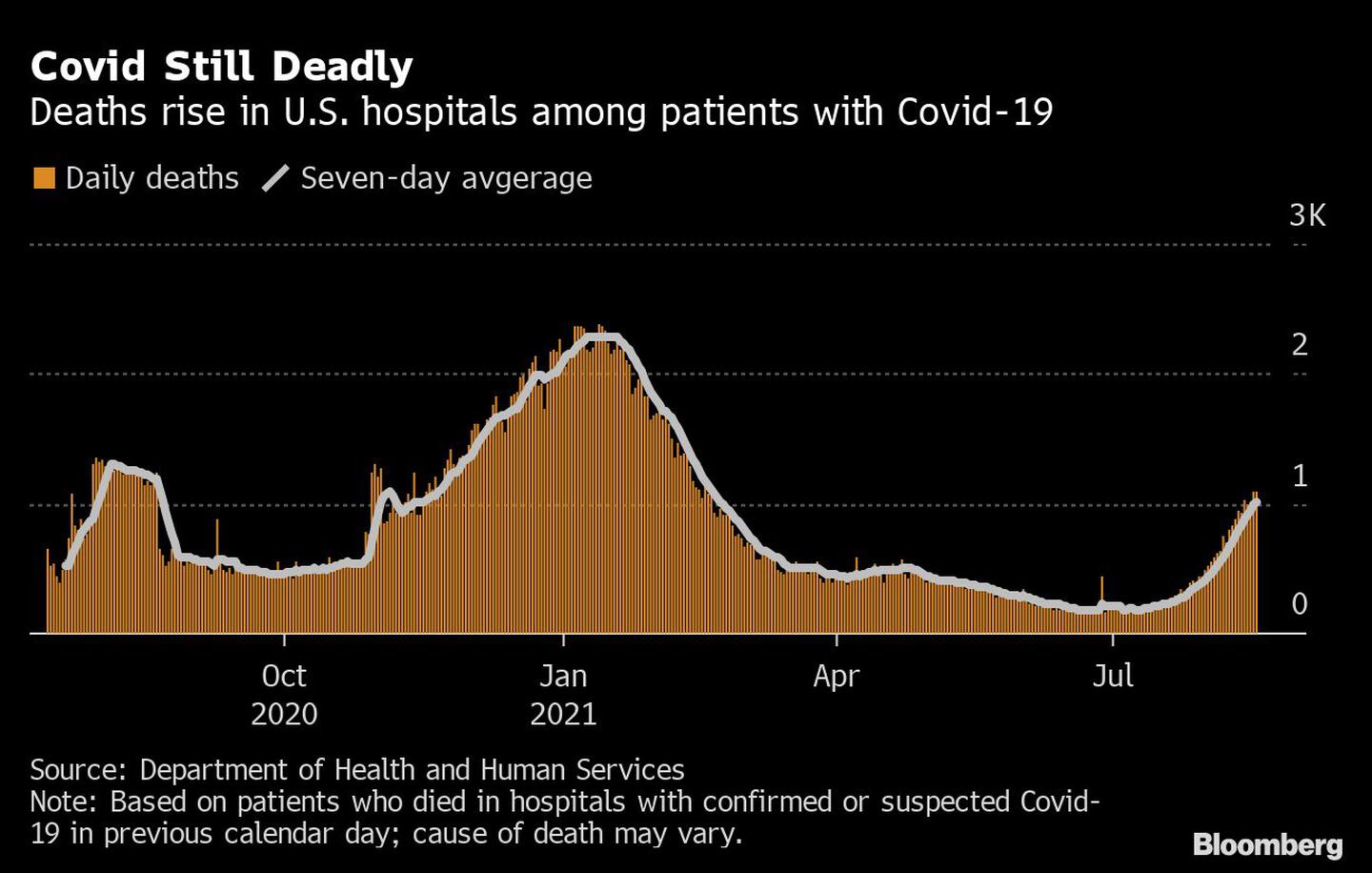 El número de muertes de pacientes con Covid-19 aumenta en hospitales de EE.UU.dfd