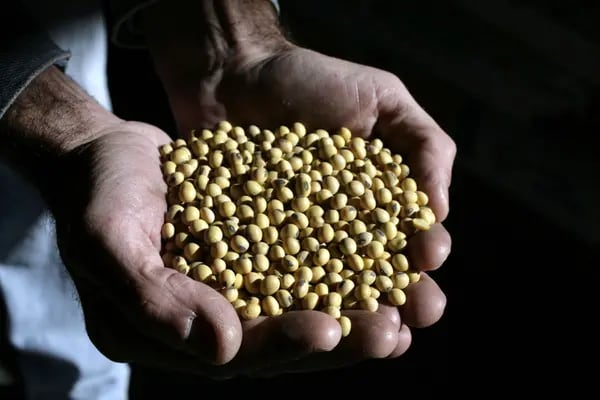 A capacidade de esmagamento de soja no Brasil aumentou 4,1% desde 2020, para 66,7 milhões de toneladas por ano