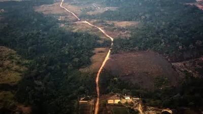 Terra destruída por fogo é dividida por uma estrada nesta fotografia aérea da Floresta Amazônica no estado de Rondônia