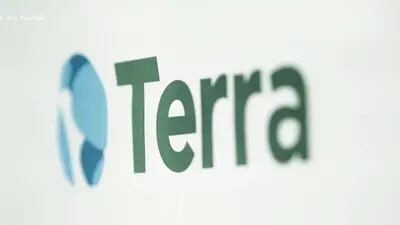 A queda do TerraUSD eliminou bilhões de dólares em valor.