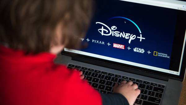 Disney se desploma tras reportar caída de suscriptores en servicio de streamingdfd