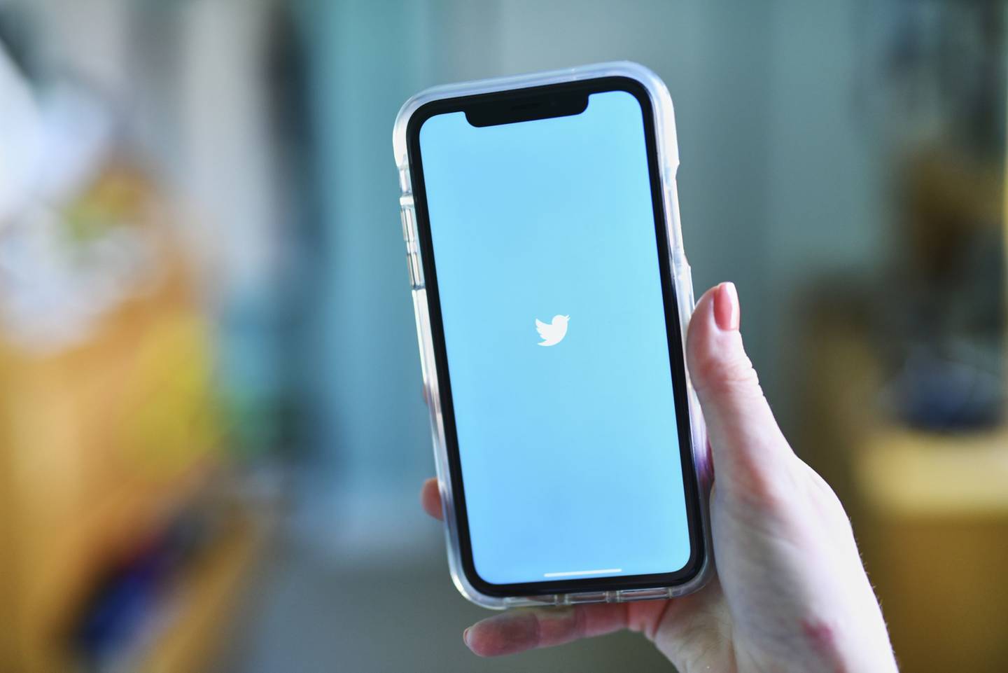 El logo de Twitter en un smartphone