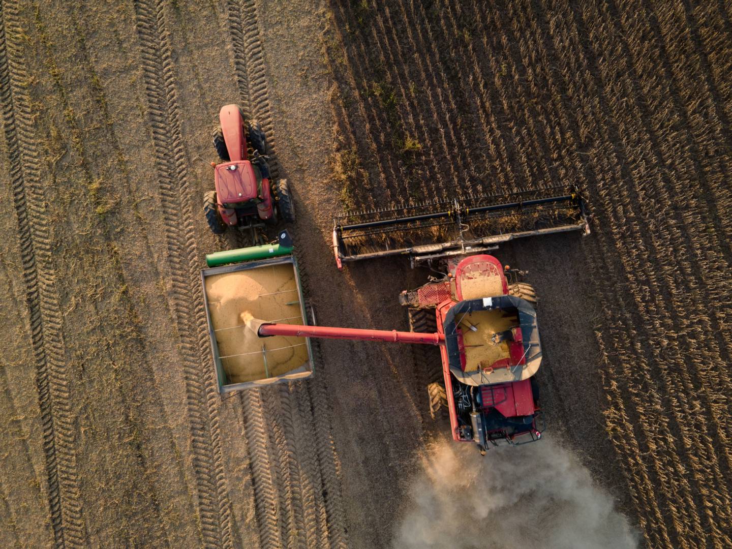 Una cosechadora descarga granos de soja en un carro de granos durante una cosecha en Pace, Mississippi, Estados Unidos, el jueves 7 de octubre de 2021.