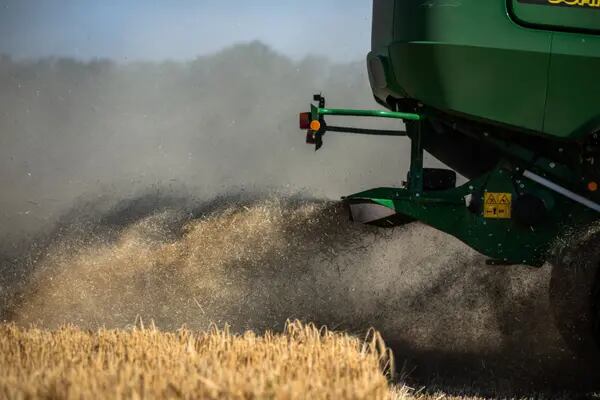 Imagen de una cosecha de trigo en Ucrania