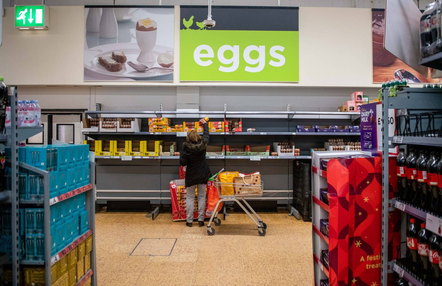Aunque la presión sobre el precio de los huevos crudos ha hecho hueco a la alternativa vegana, el producto natural sigue con mejor relación coste-beneficio.dfd