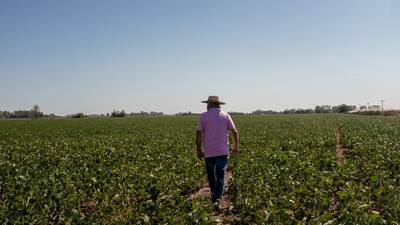 Agropecuaria uruguaya busca levantar US$250M para ampliar su negocio de irrigacióndfd