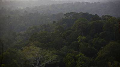 Brasil: bono para proteger el Amazonas gana impulso entre inversores ESGdfd