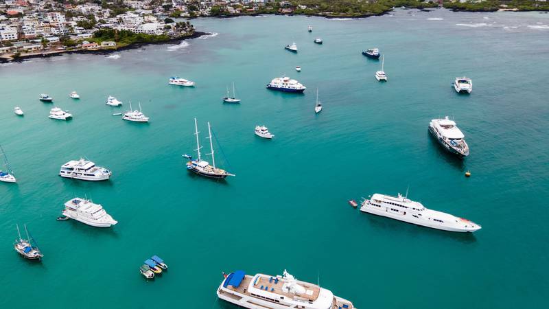 ¿Tour por las Galápagos? Los cruceros más lujosos y sostenibles para visitarlas
