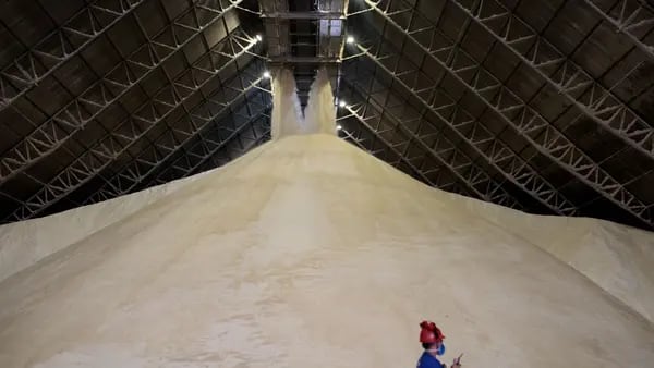 Por que o açúcar acumula nos portos do Brasil enquanto o mundo enfrenta escassezdfd
