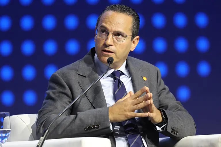 Wael Sawan, director ejecutivo de Shell.dfd