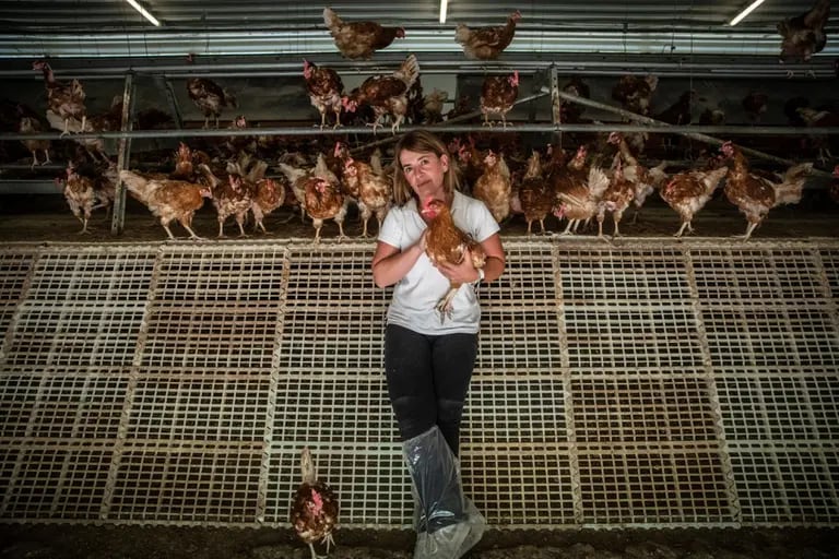 Ainhoa Álava con sus gallinas. Fotógrafo: Ángel García/Bloombergdfd