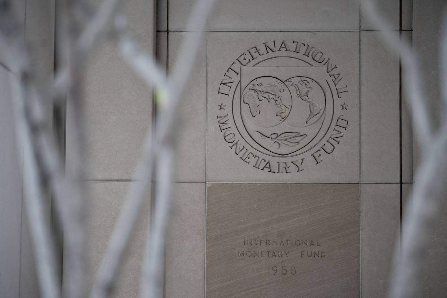 El logo del FMI