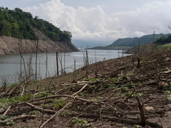 Hidroeléctricas en Colombia operan al 45%: impacto y lecciones de la crisisdfd