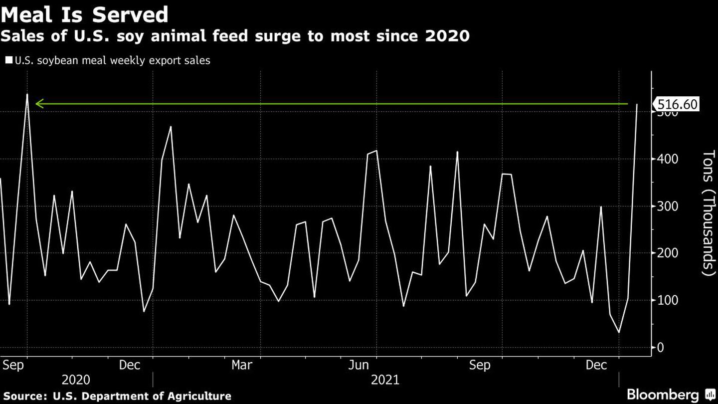 Las ventas de soja en EE.UU. aumentan al máximo desde 2020dfd