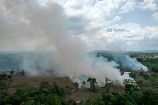 Desmatamento da Amazônia será um dos temas na agenda prevista entre os dois presidentes