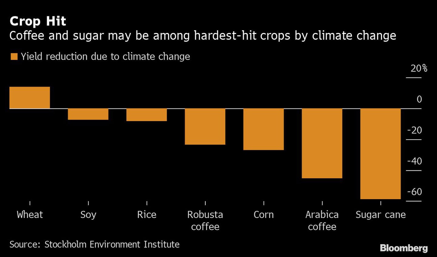 Café e açúcar estão entre os mais afetados pelas mudanças climáticasdfd