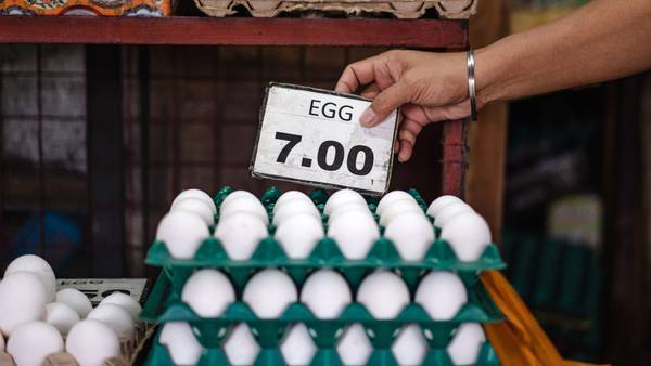 Alza de precios de huevos en todo el mundo abre camino para alternativas veganasdfd
