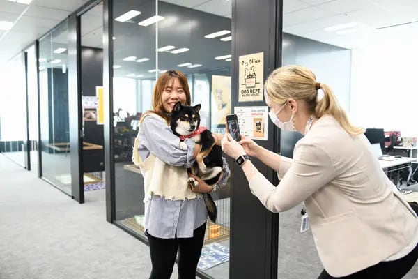 Hime con su humana Mayumi Shioda en la oficina canina de Fujitsu en Kawasaki.