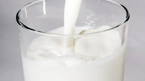 Las megafábricas apuestan por leche y queso alternativos para paliar la escasezdfd