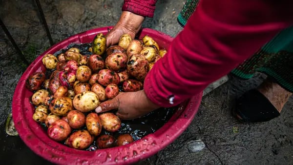 El trabajo informal es el gran problema laboral del Ecuador y pesa más en el campodfd