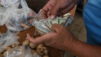 Bajó un poco: Así cerró el dólar este jueves 7 de octubre en Venezueladfd