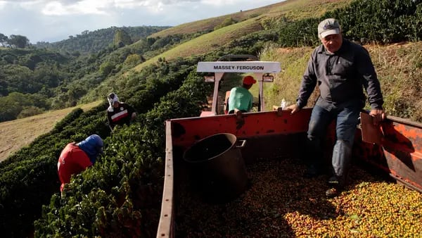 Pronóstico de cosecha de café en Brasil se complica con amenaza de inundacionesdfd