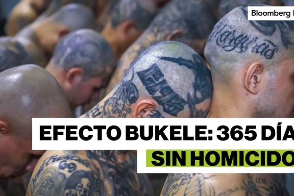 Efecto Bukele: ¿A qué costo se redujo el crimen en El Salvador?dfd