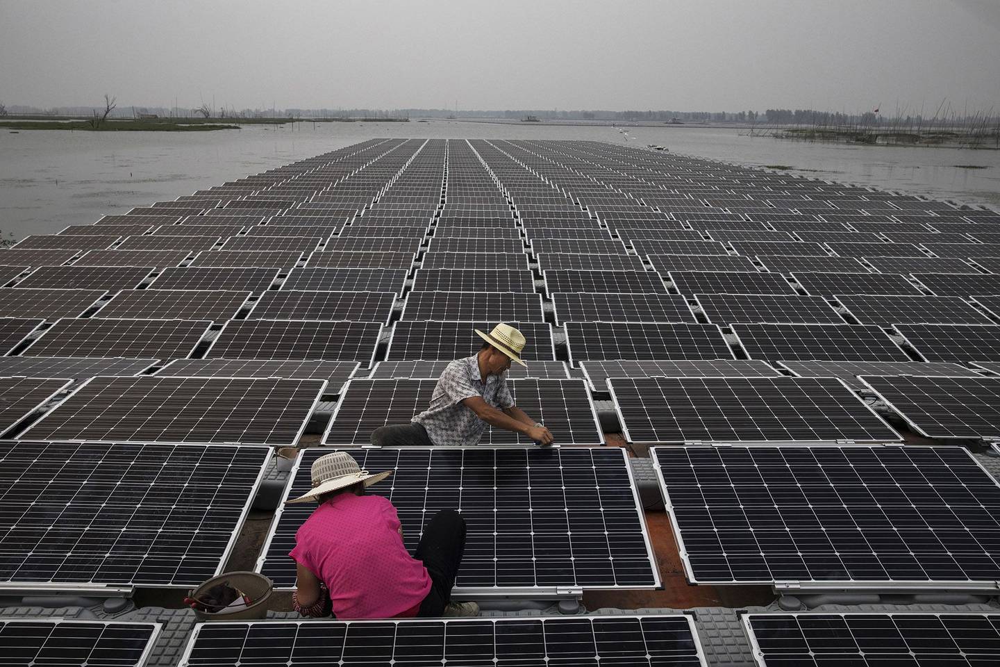 Paneles solares en China.