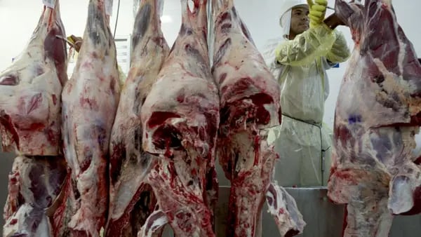 Argentina liberaría la exportación de carne a Chinadfd