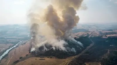 Arden tierras protegidas en Brasil