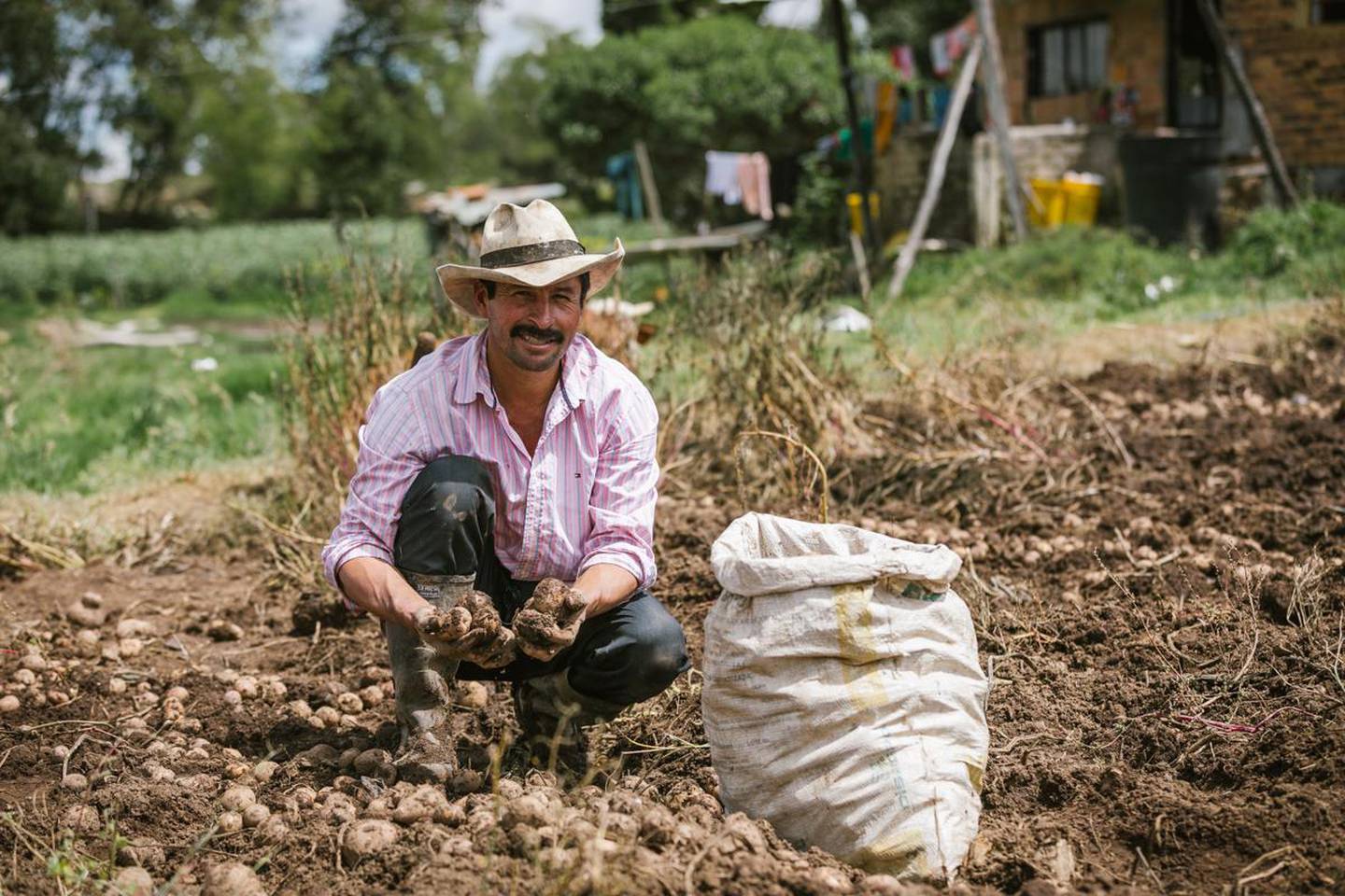 Campo colombiano: menos del 64% de adultos tiene acceso a servicios financieros.