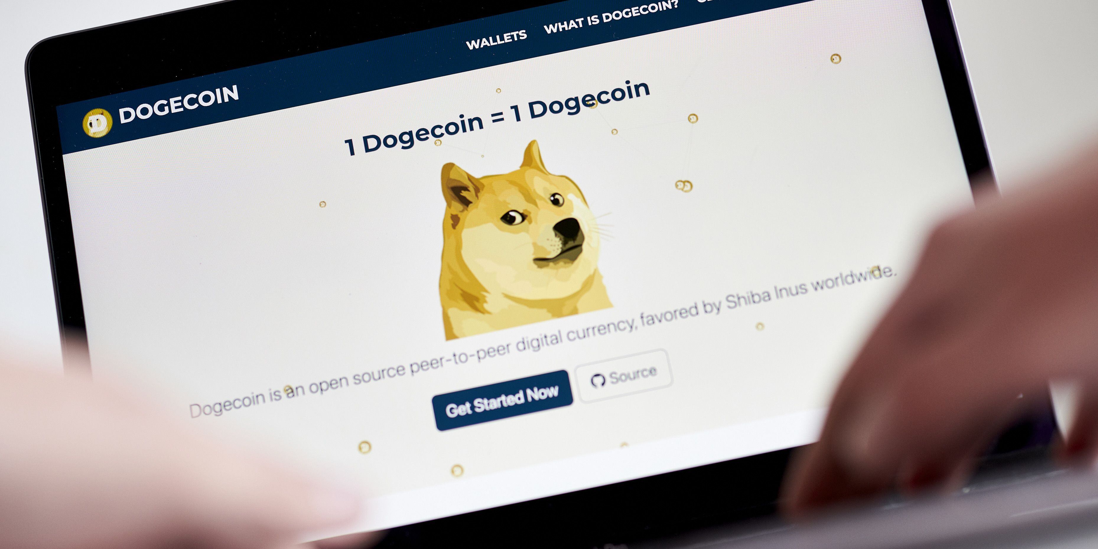 Alza del 99% de moneda meme muestra el poder de fans cripto en redes  sociales