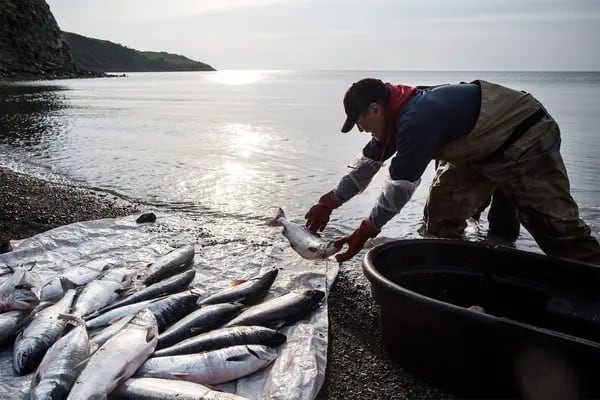 Poluição dos mares coloca em risco a sobrevivência de setores da economia que dependem da pesca