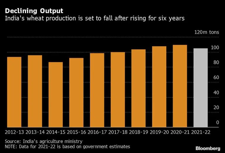 La producción de trigo de India va a descender después de haber aumentado durante seis añosdfd