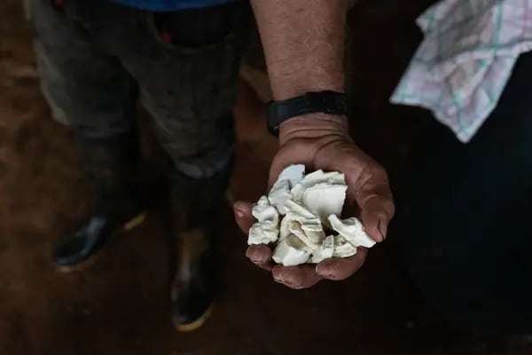 A Cocaine Warlord Is Saving the Amazon With His Campaign of Terror