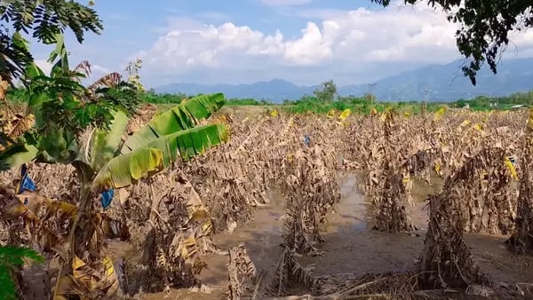 Ciclón tropical Julia comprometió seguridad alimentaria de Honduras: Gobiernodfd