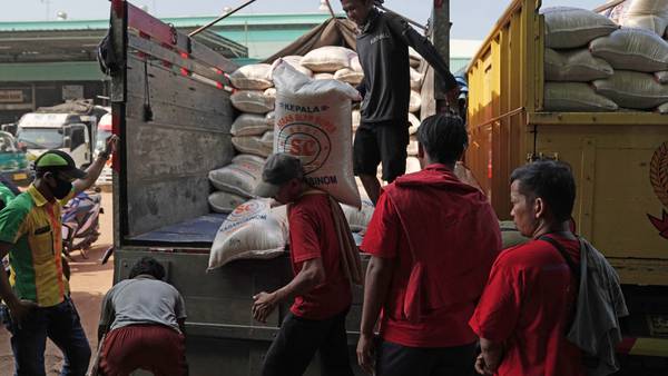 Científicos alertan escasez de arroz mientras crece preocupación por alimentosdfd
