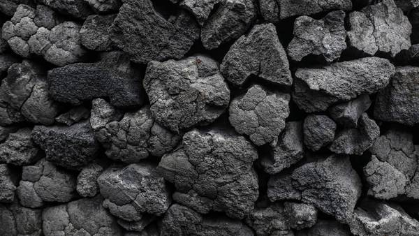 Magnate del carbón gana miles de millones en un mundo que busca ser ecológicodfd