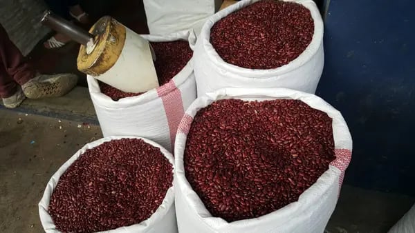 El IHMA asegura que existe suficiente abastecimiento de frijol rojo en Honduras.