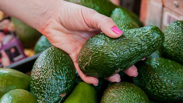 Avocados from Mexico’s CEO Tells ‘Línea Latina’ Podcast How the Fruit Seduced the USdfd