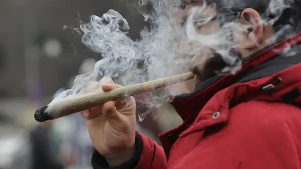 Cannabis de uso adulto: las razones por las que ahora sí se regularía en Colombiadfd