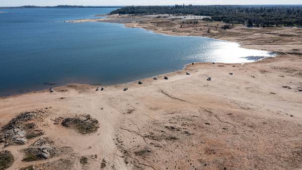 Los Ángeles restringirá riego del césped mientras sequía de California se agudizadfd