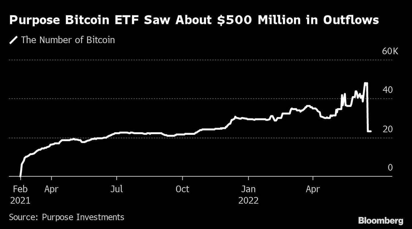 El ETF Purpose Bitcoin registró la salida de unos US$500 millones de dólares.dfd