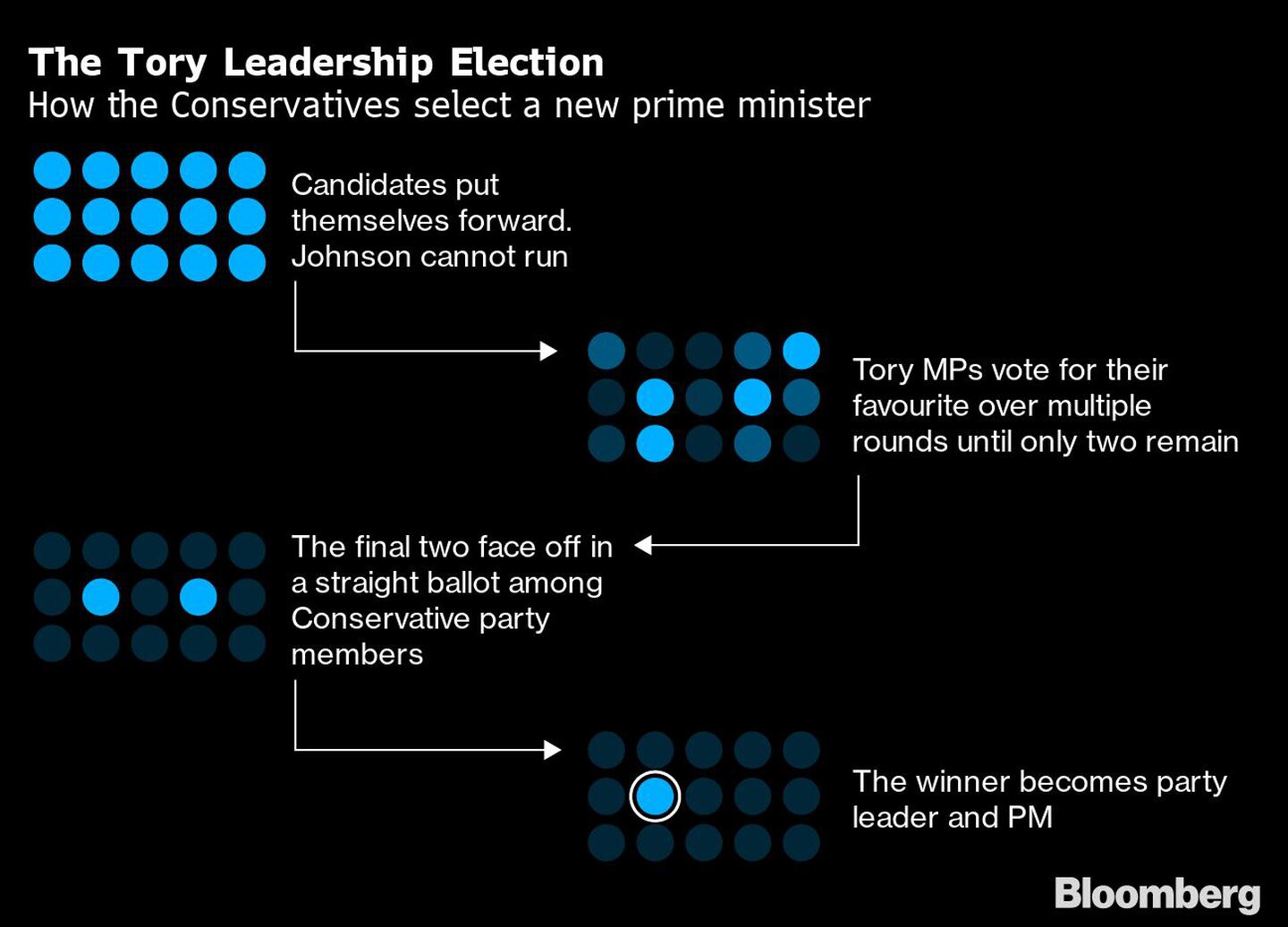  Cómo eligen los conservadores al nuevo primer ministrodfd