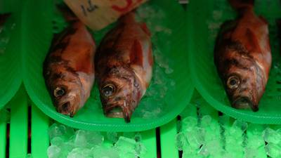 Estos peces podrían ayudarnos a vivir más tiempo, si no nos los comemos a todosdfd